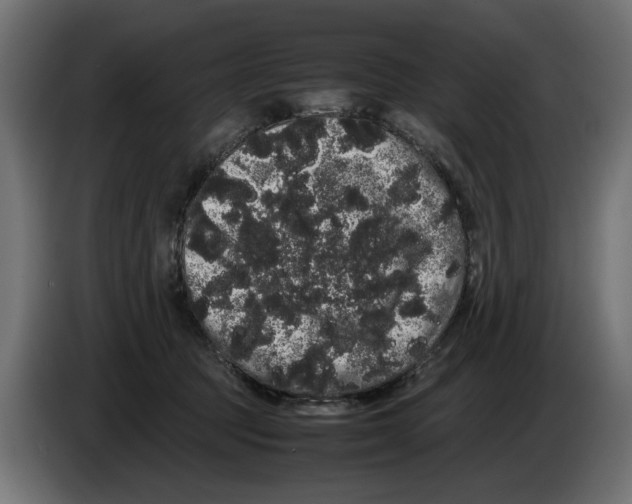 X0000082940369200703020132