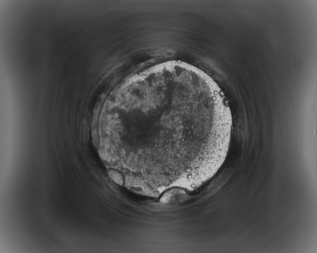 X0000082940370200703020132