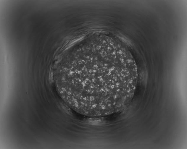 X0000082940373200703020132