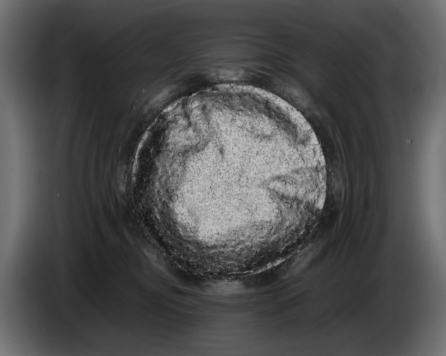 X0000082940374200703020132