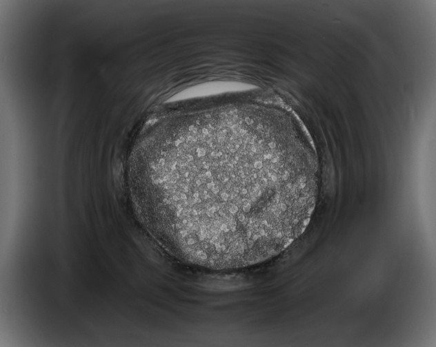 X0000082940375200703020132