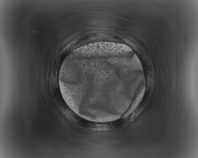 X0000082940376200703020132