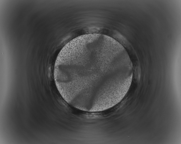 X0000082940378200703020132