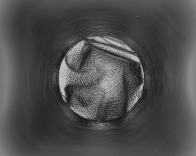 X0000082940379200703020132