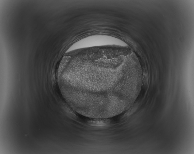 X0000082940381200703020132