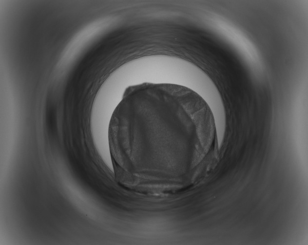 X0000082940382200703020132