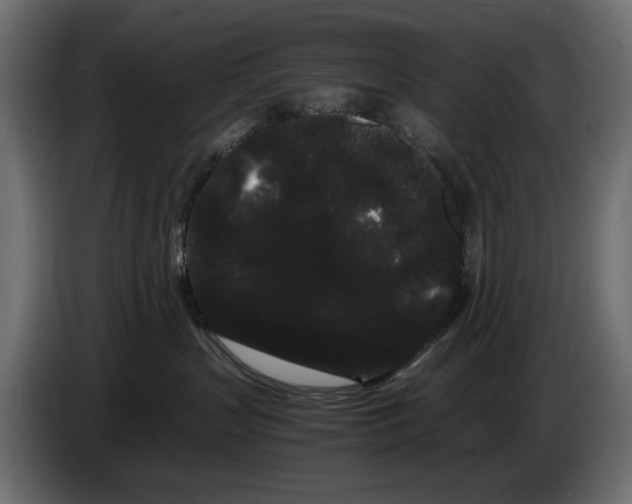 X0000082940383200703020133