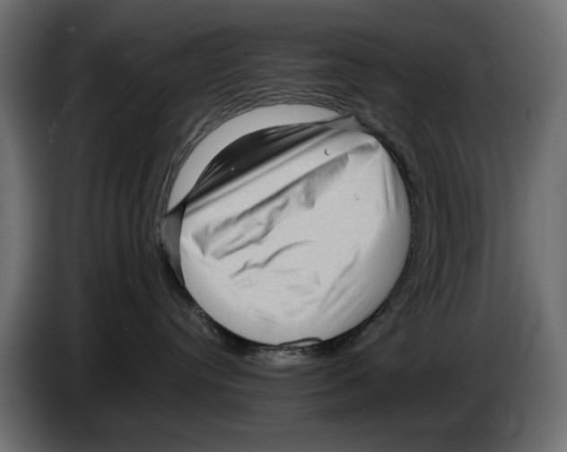 X0000082940384200703020133