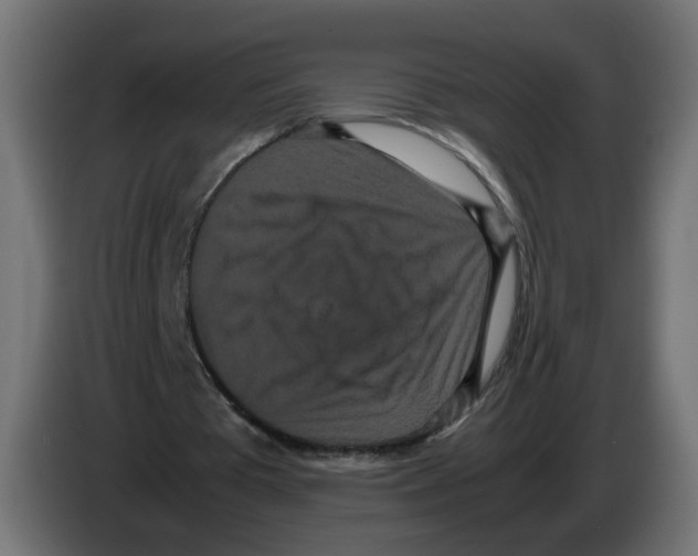 X0000082940385200703020132