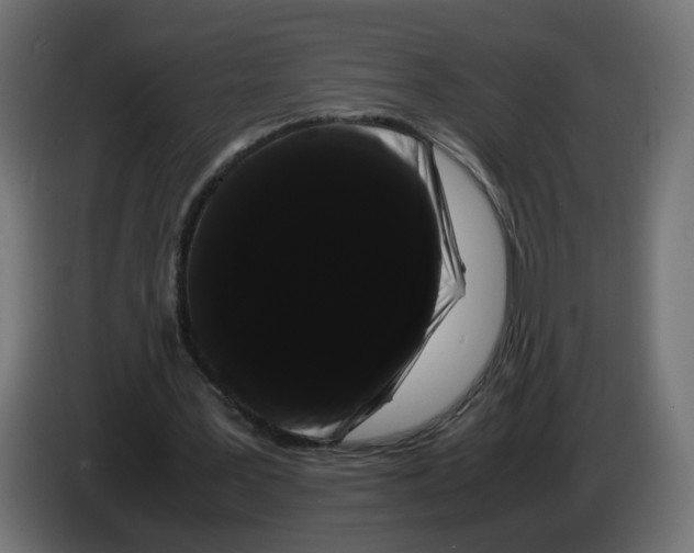 X0000082940387200703020132