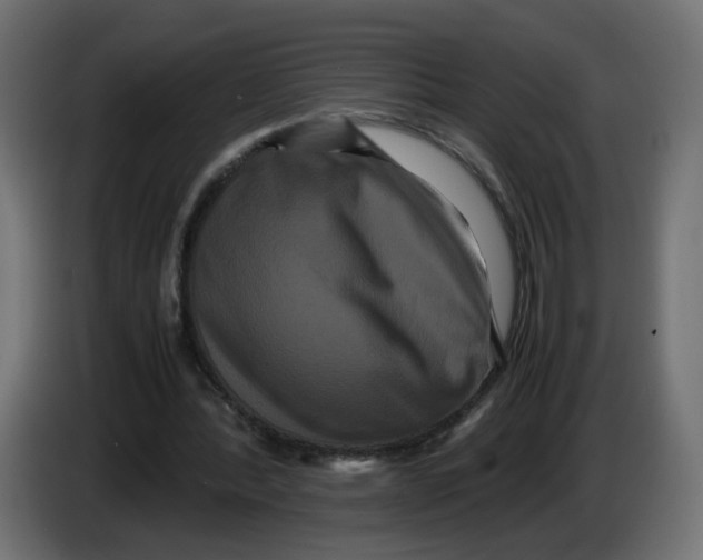 X0000082940388200703020132