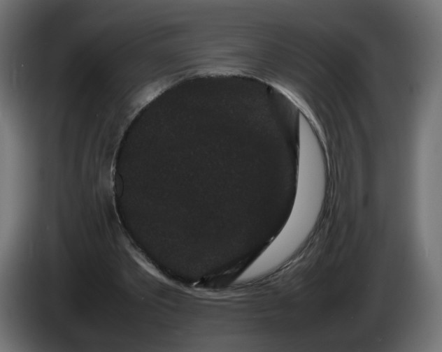 X0000082940389200703020132