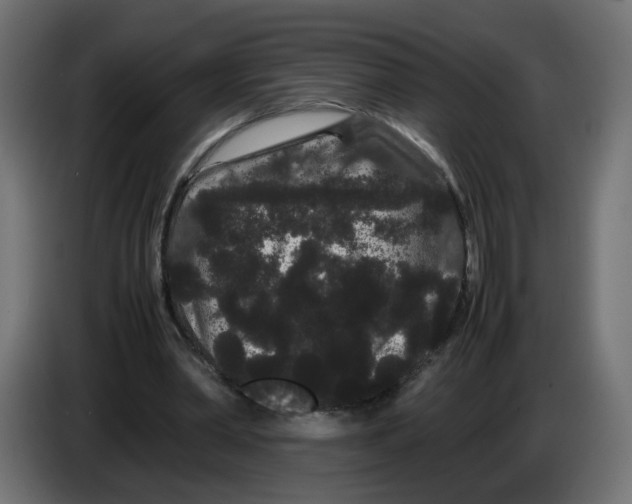 X0000082940390200703020132