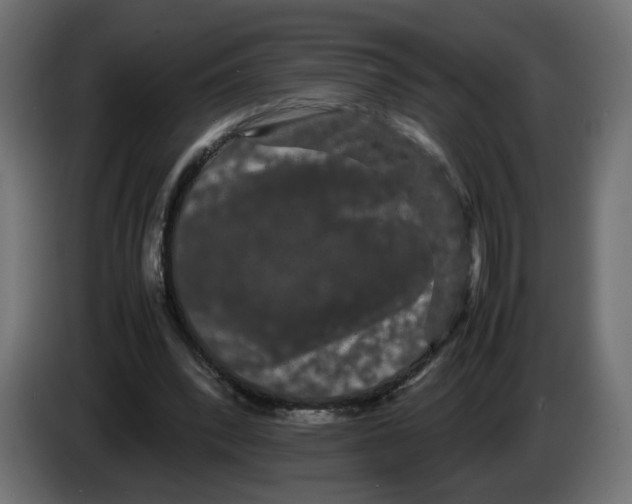 X0000082940392200703020132