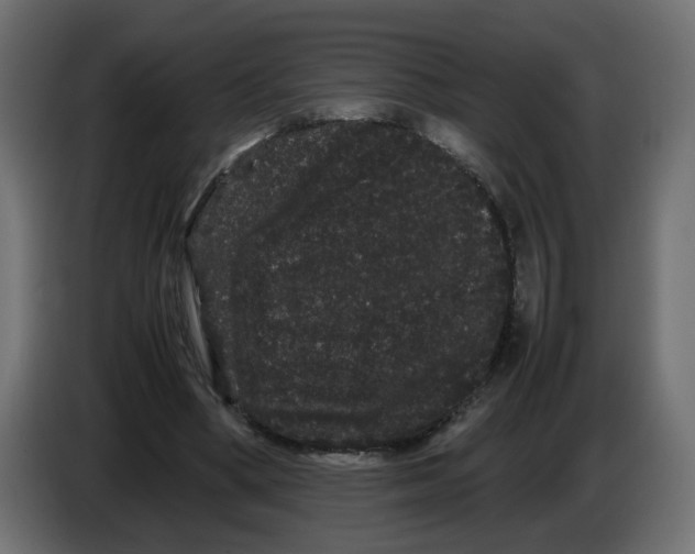 X0000082940394200703020132