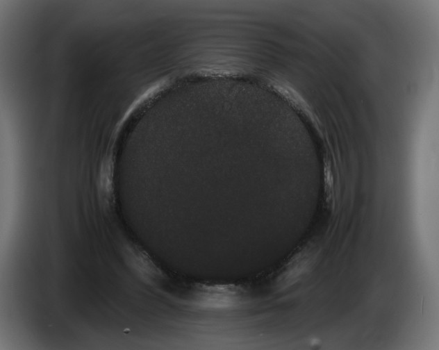 X0000082940396200703020132