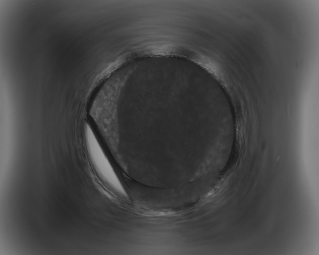 X0000082940397200703020132