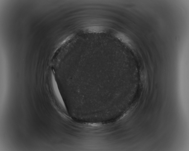 X0000082940398200703020132