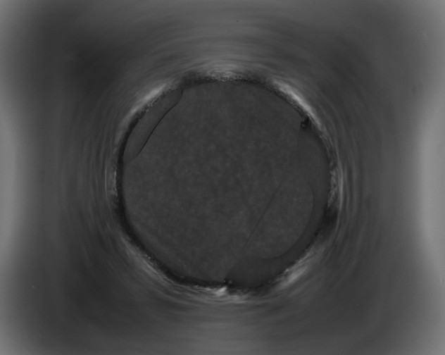 X0000082940399200703020132