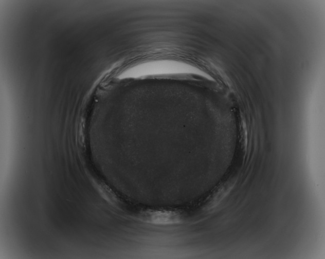 X0000082940400200703020132