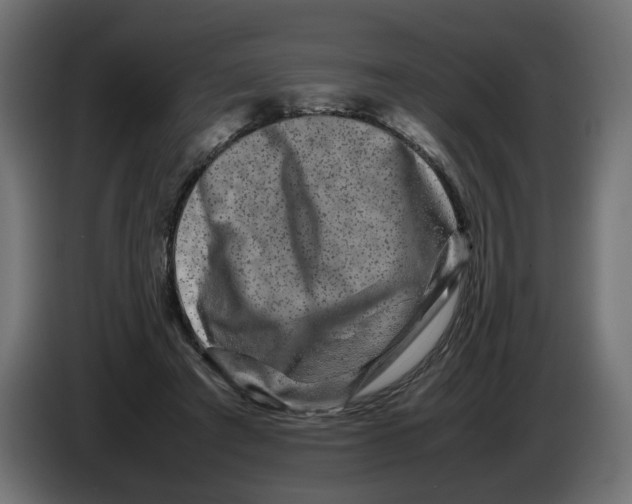 X0000082940401200703020132