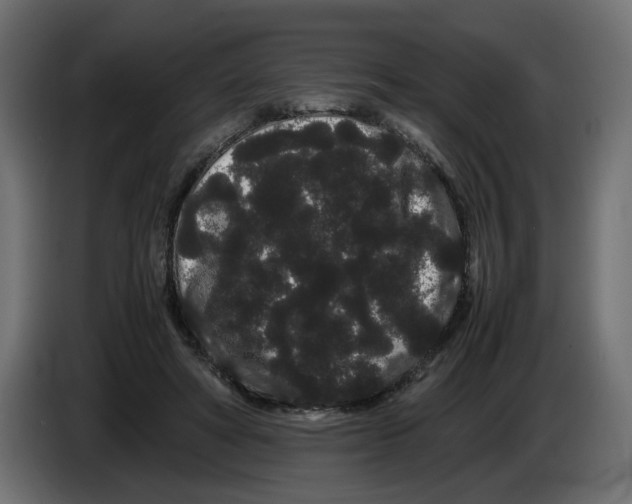 X0000082940402200703020132