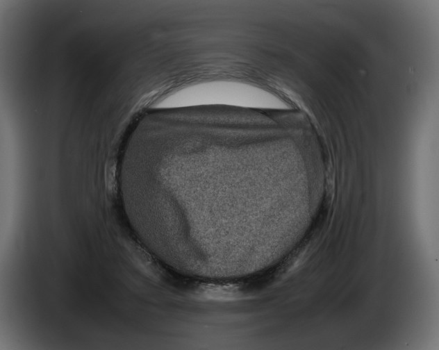 X0000082940403200703020132