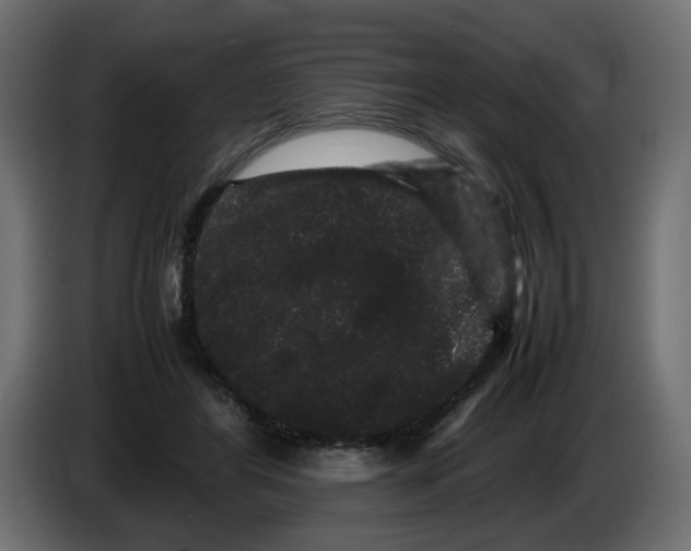 X0000082940404200703020132