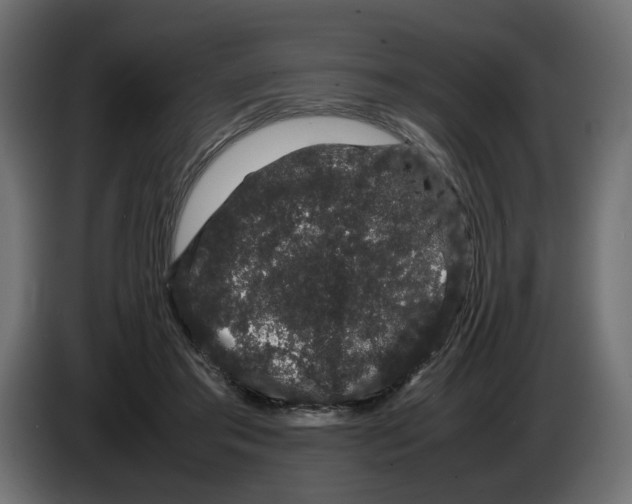 X0000082940405200703020132