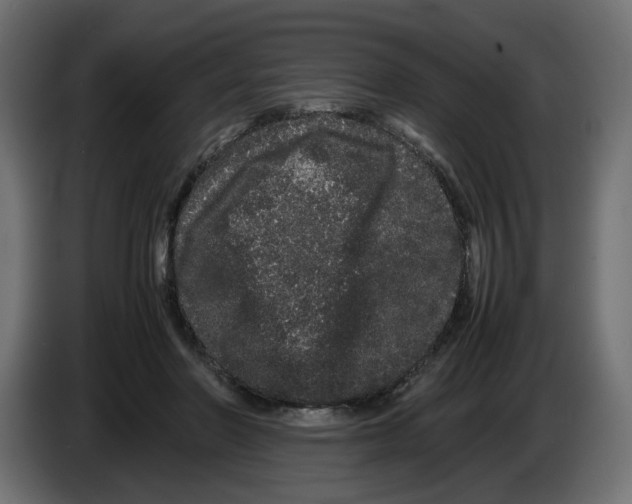 X0000082940406200703020132