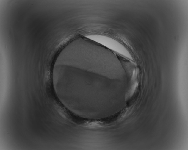 X0000082940407200703020132