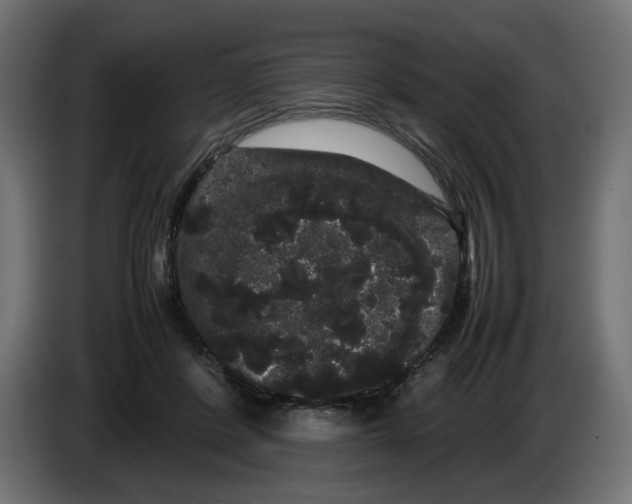 X0000082940408200703020132