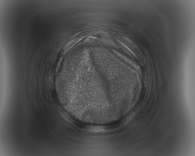 X0000082940409200703020131