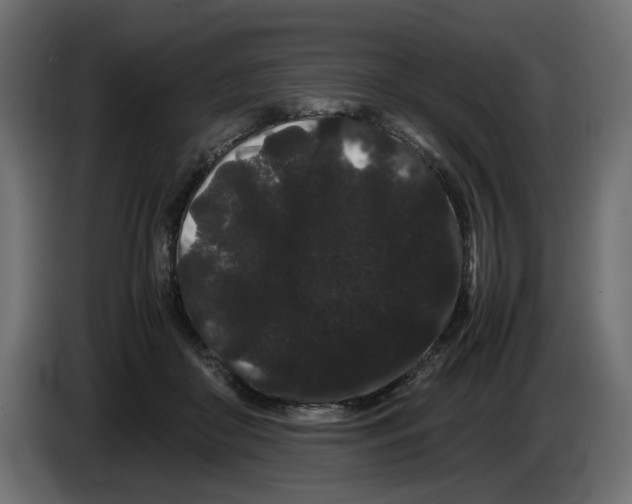 X0000082940410200703020131