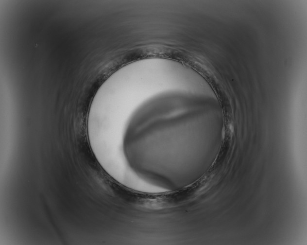 X0000082940411200703020131