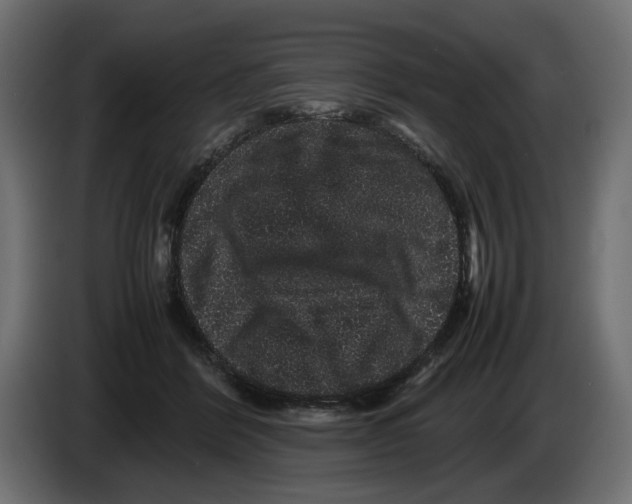 X0000082940412200703020131