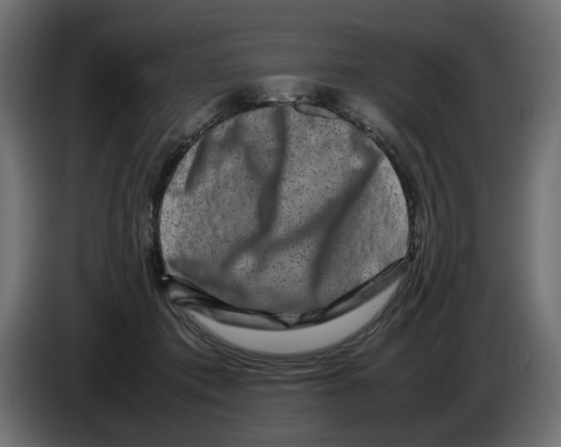 X0000082940413200703020131