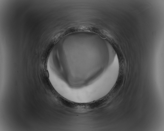 X0000082940415200703020131