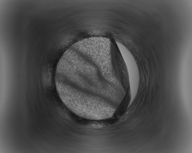 X0000082940416200703020131