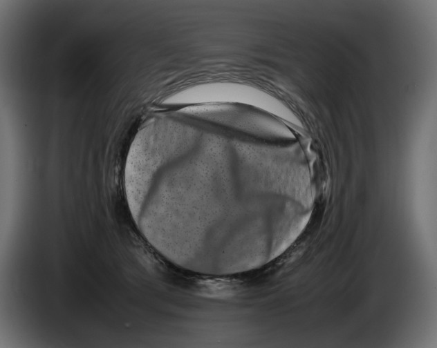 X0000082940417200703020131