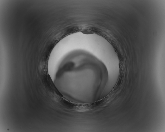 X0000082940419200703020131