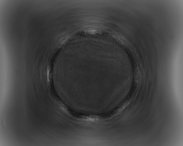 X0000082940420200703020131