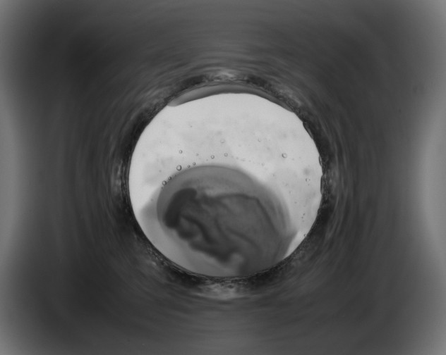 X0000082940423200703020131