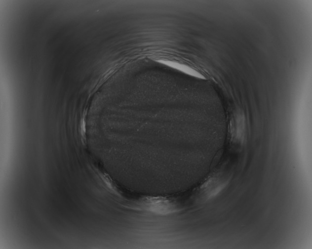 X0000082940424200703020131