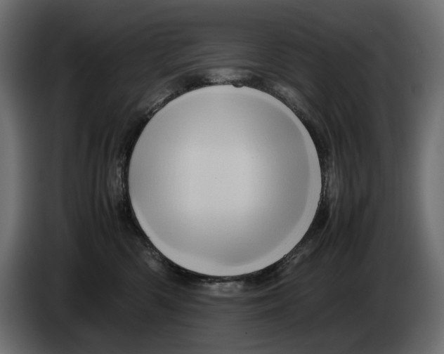 X0000082940426200703020131