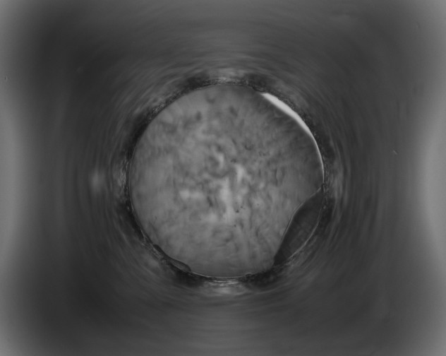 X0000082940427200703020131