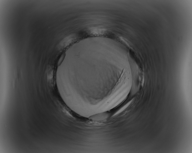 X0000082940428200703020131