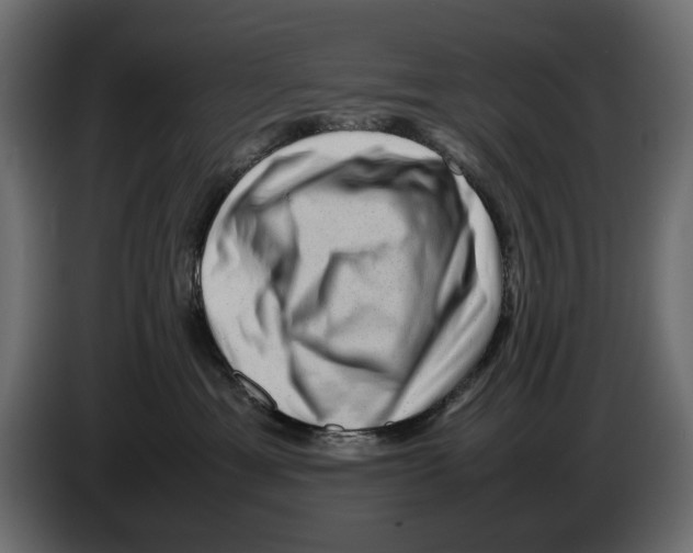 X0000082940429200703020131