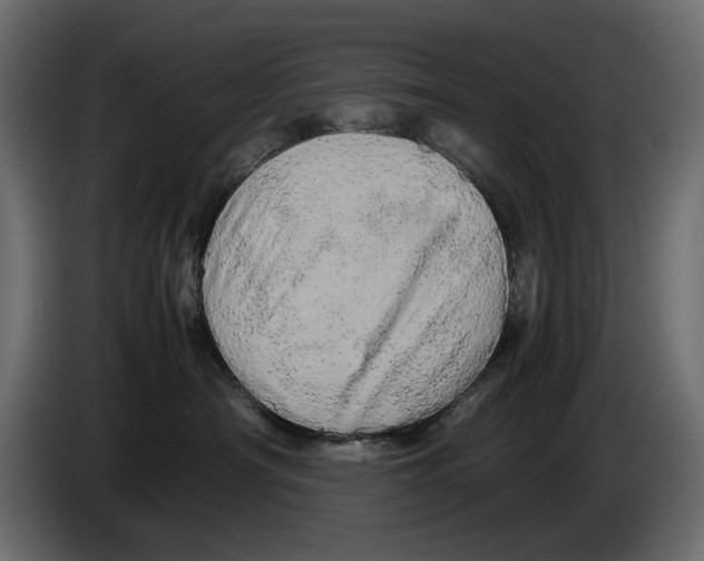 X0000082940430200703020131