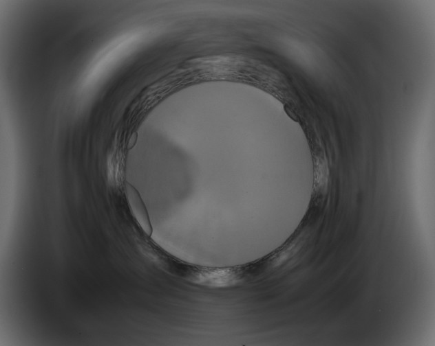 X0000082940431200703020131